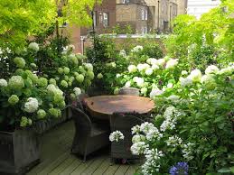Garden On A Balcony Or Roof Deck