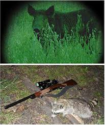 Green Light Led Coyote Hog Pig Varmint Predator Hunting