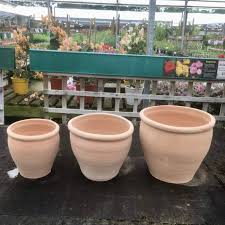 Bavarian Terracotta Pot 3 Sizes Yew