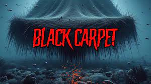 encounters with the black carpet