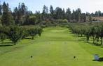 McCulloch Orchard Greens Golf Club in Kelowna, British Columbia ...