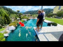 Koi Pond Guide Read Before Ing Or