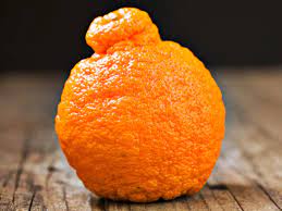 sumo oranges everything you need to