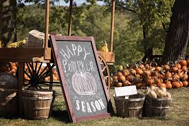 pumpkin patch birthday party ideas for