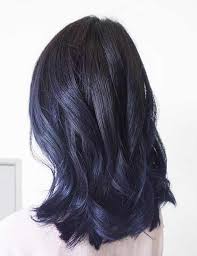 Adding silver to purple and blue hair creates a pearlescent look meant to mimic the colors shown when light hits a pearl. 20 Amazing Blue Black Hair Color Looks Blushery
