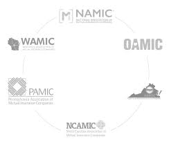 What does namic mean in insurance? Britecore Insurance Software Partners