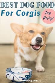 And when it comes to corgis, a higher percentage is better, since they have fast metabolisms and burn calories quickly. Best Dog Foods For Corgis Puppies Adults Seniors In 2021 Corgi Dog Food Recipes Dog Nutrition