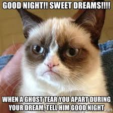 Good Night!! sweet dreams!!!! when a ghost tear you apart during ... via Relatably.com