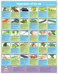 Studious Food Season Chart Food Season Chart Seasons Of