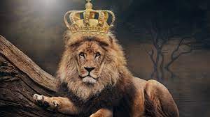 Wallpaper Lion, king, crown 3840x2160 ...