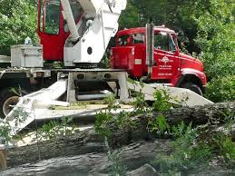Gordon pro tree service buford is tree removal, pruning, grading, stump grinding, more. R R Tree Service Home Facebook