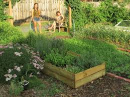 Building A Better Raised Bed