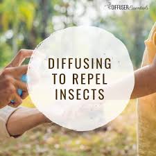 essential oils to repel insects