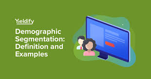 demographic segmentation defined with 5