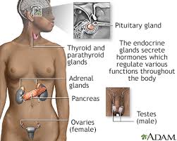 thyroid cancer information mount