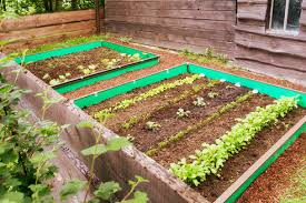 garden with mixed vegetable patch and
