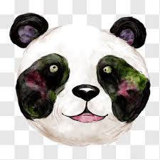 kolorowe malowanie twarzy pandy png