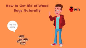 How To Get Rid Of Wood Bugs Naturally