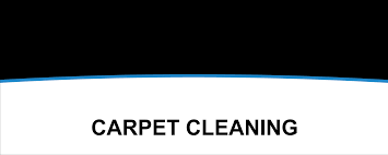 carpet cleaning skyblue services corp