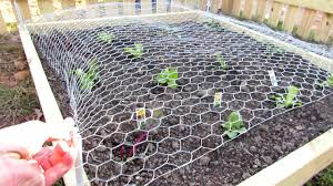Chicken wire, or poultry netting, is a mesh of wire commonly used to fence in fowl, such as chickens, in a run or coop. How To Protect Your Vegetable Garden From Rabbits Deer Build A Chicken Wire Horizontal Fence Youtube