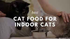 We highly recommend looking at the comparison table we have below where we highlighted the features of each product. The 19 Best Cat Foods For Indoor Cats Of 2021 Merchdope