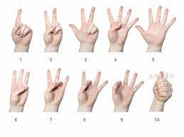 Here are 7 steps that will help you how to learn chinese questions like this tells me that there are some misconceptions about learning a language. Artsedge Animal Habitats Learn Sign Language Sign Language Sign Language For Kids