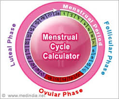 Period Menstrual Cycle Calculator