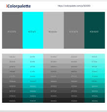 1450 latest color schemes with silver