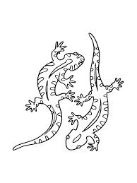 Find dot to dots, exercises for kids and toddlers, illustrations, vector clipart, black and white. Free Lizard Coloring Pages Download And Print Lizard Coloring Pages