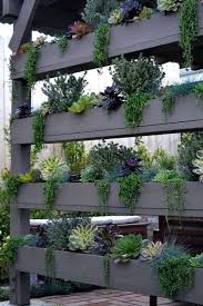 Succulent Wall Garden Ideas