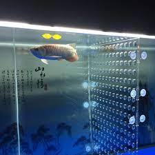4 plastic mesh sheets (purchased at craft store) measured and cut the same width as aquarium and cut the same height measured to right under the black rim. Amazon Com Toyuto 17 X 18 8 75 Fish Tank Acrylic Divider Aquarium Isolation Board Suction Cup No Included 75 Gallon Clear Pet Supplies