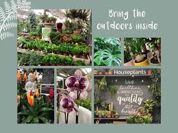 Indoor Plants Burston Garden Centre