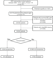 Flow Chart For Sample Selection Rrt Renal Replacement
