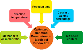 Nanocatalyst For Biodiesel Ion