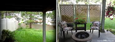 best outdoor privacy screen ideas for
