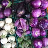 Should eggplant be firm or soft?