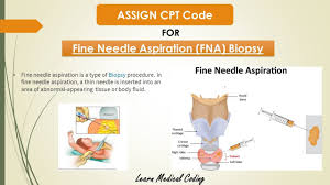 fine needle biopsy cpt code