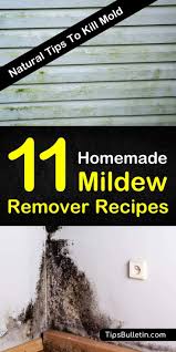 11 make your own mildew remover recipes