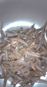 Sudah banyak penelitian dari para ahli mata bahwa kandungan gizi dan vitamin dalam ikan sidat sangat baik untuk proses penyembuhan rabun jauh. Ikan Bilis Mata Biru Pulau Pangkor Kampong Perak 2021