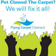 flying carpet cleaners llc smyrna