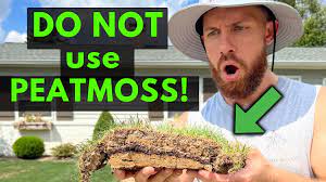 peat moss killed my lawn avoid this