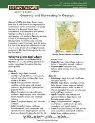 Georgia Vegetable Planting Calendar