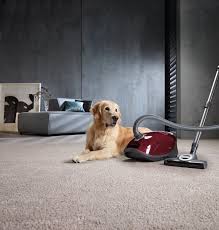 miele complete c3 cat dog red pro