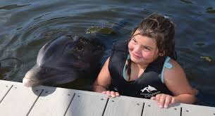 dolphin therapy perfect cine for