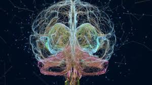 El cerebro es la estructura más compleja y enigmática en el universo.  Contiene más neuronas que las estrellas existentes en la galaxia" - BBC  News Mundo