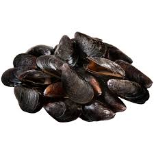 live cultured black mussels fresh