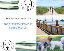 the best dog parks in wilmington nc