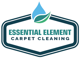 carpet cleaning essential element