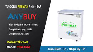 Giới thiệu tủ đông Pinimax PNM-15AF - Tin tức
