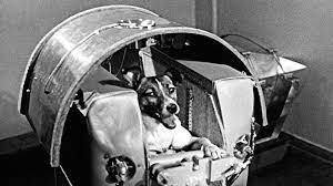 Remembering Laika, Space Dog and Soviet Hero | The New Yorker